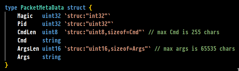 Metadata structure /img/tcpshark/metadata-struct.png